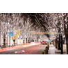Πίνακες σε φωτογραφία ή σε καμβά από το Print-Photos-Online.com - Budapest City #0001!