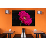 Πίνακες σε φωτογραφία ή σε καμβά με θέμα τα λουλούδια​ από το Print-Photos-Online.com!