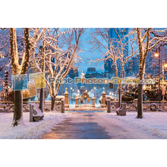 Πίνακες σε φωτογραφία ή σε καμβά από το Print-Photos-Online.com - Boston City #0001!