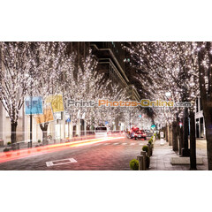 Πίνακες σε φωτογραφία ή σε καμβά από το Print-Photos-Online.com - Budapest City #0001!