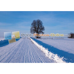 Πίνακες σε φωτογραφία ή σε καμβά με θέμα το χειμώνα #0043 από το Print-Photos-Online.com!