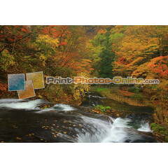 Πίνακες σε φωτογραφία ή σε καμβά με θέμα τo φθινόπωρο #0011 από το Print-Photos-Online.com!