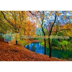 Πίνακες σε φωτογραφία ή σε καμβά με θέμα τo φθινόπωρο #0020 από το Print-Photos-Online.com!