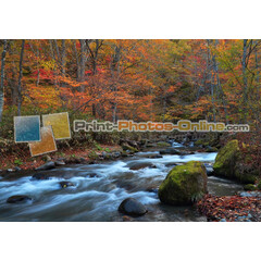 Πίνακες σε φωτογραφία ή σε καμβά με θέμα τo φθινόπωρο #0007 από το Print-Photos-Online.com!