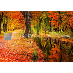 Πίνακες σε φωτογραφία ή σε καμβά με θέμα τo φθινόπωρο #0008 από το Print-Photos-Online.com!