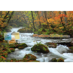 Πίνακες σε φωτογραφία ή σε καμβά με θέμα τo φθινόπωρο #0009 από το Print-Photos-Online.com!