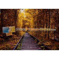 Πίνακες σε φωτογραφία ή σε καμβά με θέμα τo φθινόπωρο #0010 από το Print-Photos-Online.com!