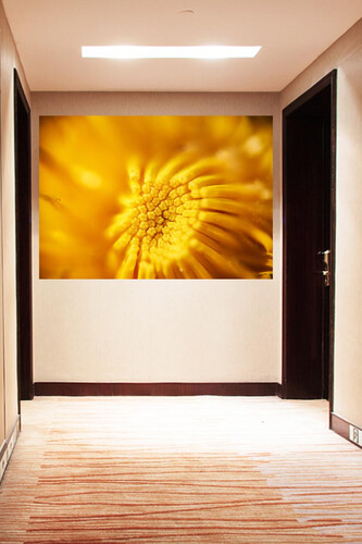 Πίνακες σε φωτογραφία ή σε καμβά με θέμα τα λουλούδια #0008 από το Print-Photos-Online.com!