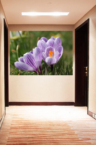 Πίνακες σε φωτογραφία ή σε καμβά με θέμα τα λουλούδια #0017 από το Print-Photos-Online.com!