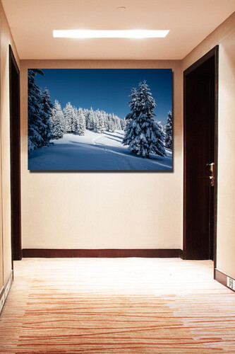 Πίνακες σε φωτογραφία ή σε καμβά με θέμα το χειμώνα #0035 από το Print-Photos-Online.com!