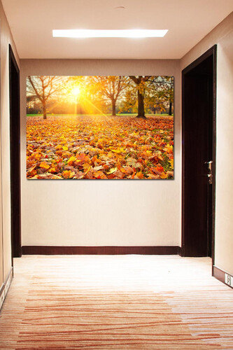 Πίνακες σε φωτογραφία ή σε καμβά με θέμα τo φθινόπωρο #0004 από το Print-Photos-Online.com!