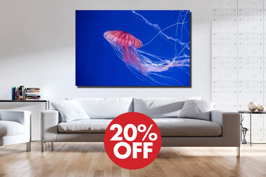 Εκτύπωσε τον δικό σου καμβά με έκπτωση -20%!