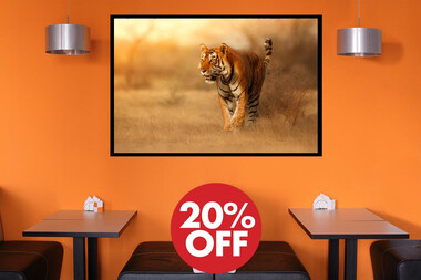 20% OFF στους πίνακες σε φωτογραφία ή σε καμβά! Συλλογή από πίνακες σε φωτογραφία ή σε καμβά με έκπτωση 20%!