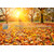 Πίνακες σε φωτογραφία ή σε καμβά με θέμα τo φθινόπωρο #0004 από το Print-Photos-Online.com!