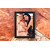 Κορνίζα MDF Shire από το Print-Photos-Online.com