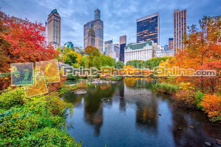 Πίνακες σε φωτογραφία ή σε καμβά από το Print-Photos-Online.com - New York City #0020!