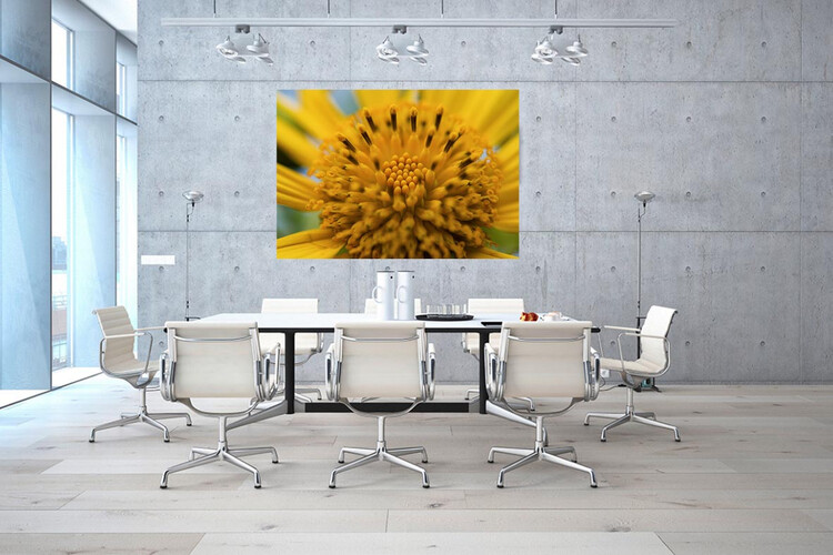 Πίνακες σε φωτογραφία ή σε καμβά με θέμα τα λουλούδια #0001​ από το Print-Photos-Online.com!