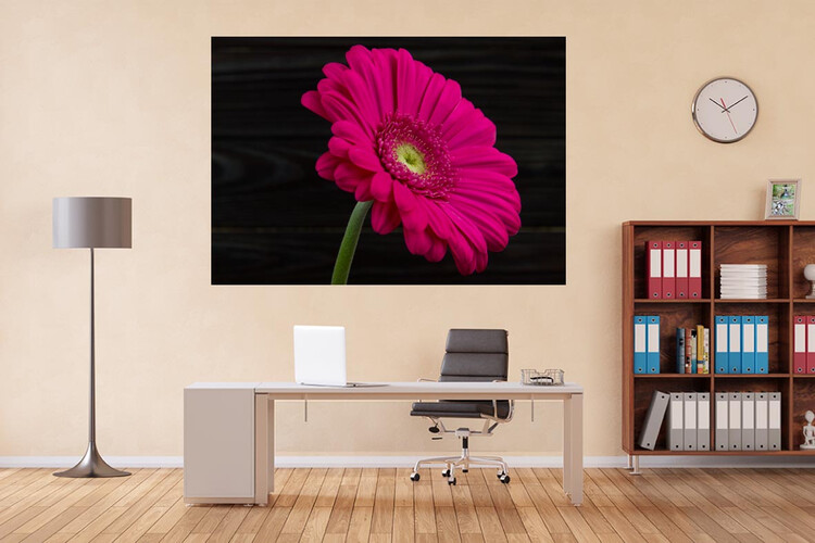 Πίνακες σε φωτογραφία ή σε καμβά με θέμα τα λουλούδια #0002 από το Print-Photos-Online.com!