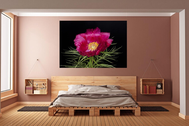 Πίνακες σε φωτογραφία ή σε καμβά με θέμα τα λουλούδια #0003 από το Print-Photos-Online.com!
