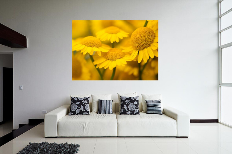 Πίνακες σε φωτογραφία ή σε καμβά με θέμα τα λουλούδια #0005 από το Print-Photos-Online.com!