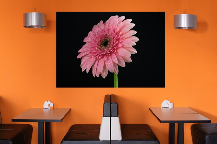 Πίνακες σε φωτογραφία ή σε καμβά με θέμα τα λουλούδια #0006 από το Print-Photos-Online.com!