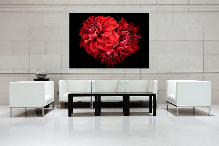 Πίνακες σε φωτογραφία ή σε καμβά με θέμα τα λουλούδια #0007 από το Print-Photos-Online.com!