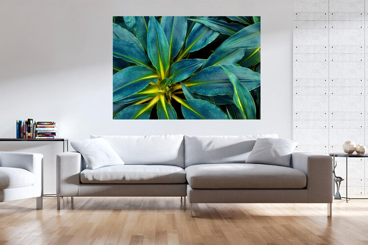 Πίνακες σε φωτογραφία ή σε καμβά με θέμα τα λουλούδια #0013 από το Print-Photos-Online.com!