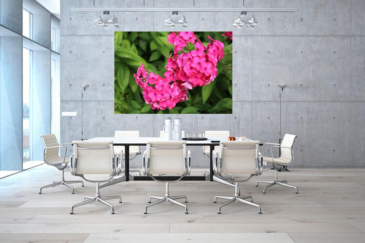 Πίνακες σε φωτογραφία ή σε καμβά με θέμα τα λουλούδια #0014 από το Print-Photos-Online.com!