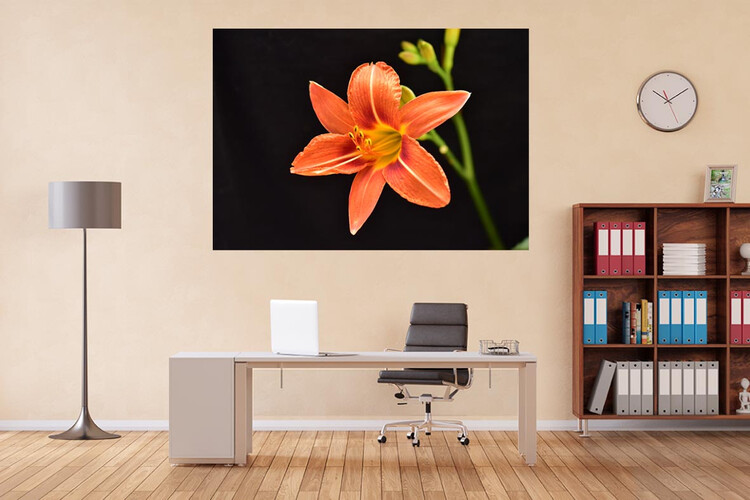 Πίνακες σε φωτογραφία ή σε καμβά με θέμα τα λουλούδια #0015 από το Print-Photos-Online.com!