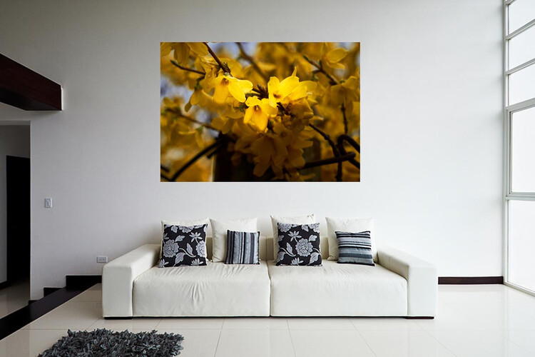 Πίνακες σε φωτογραφία ή σε καμβά με θέμα τα λουλούδια #0018 από το Print-Photos-Online.com!