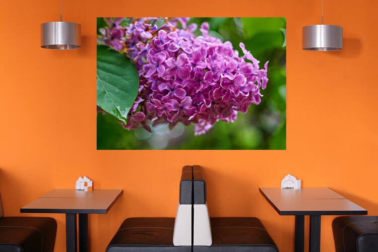 Πίνακες σε φωτογραφία ή σε καμβά με θέμα τα λουλούδια #0019 από το Print-Photos-Online.com!