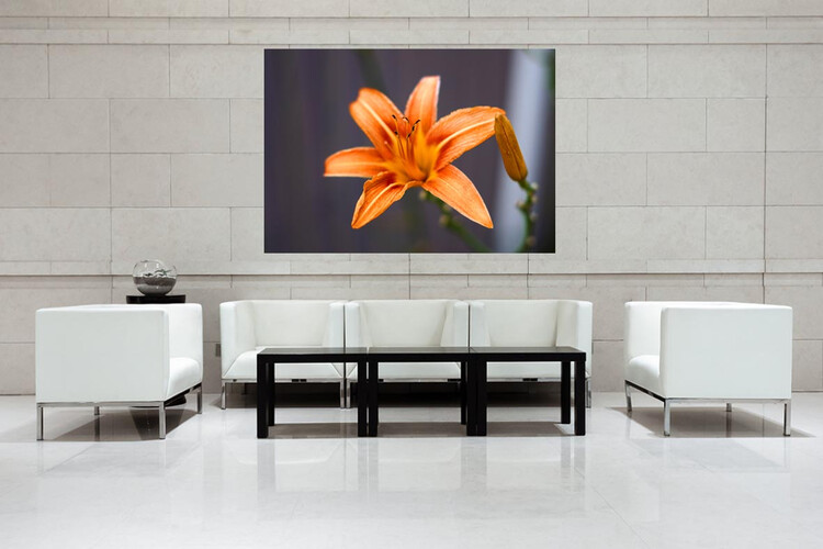 Πίνακες σε φωτογραφία ή σε καμβά με θέμα τα λουλούδια #0020 από το Print-Photos-Online.com!