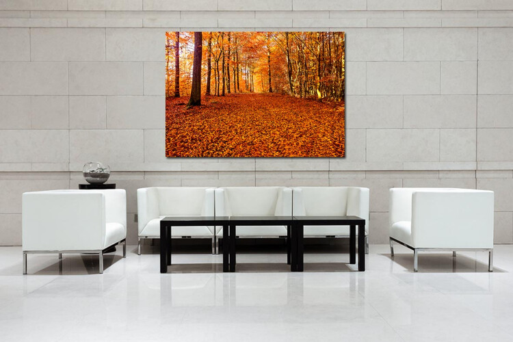 Πίνακες σε φωτογραφία ή σε καμβά με θέμα τo φθινόπωρο #0012 από το Print-Photos-Online.com!