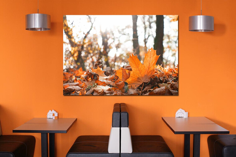 Πίνακες σε φωτογραφία ή σε καμβά με θέμα τo φθινόπωρο #0006 από το Print-Photos-Online.com!