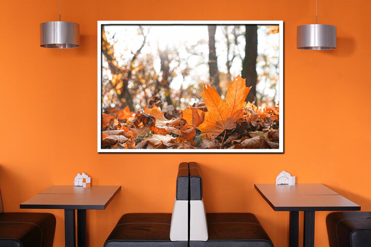 Πίνακες σε φωτογραφία ή σε καμβά με θέμα τo φθινόπωρο #0006 από το Print-Photos-Online.com!