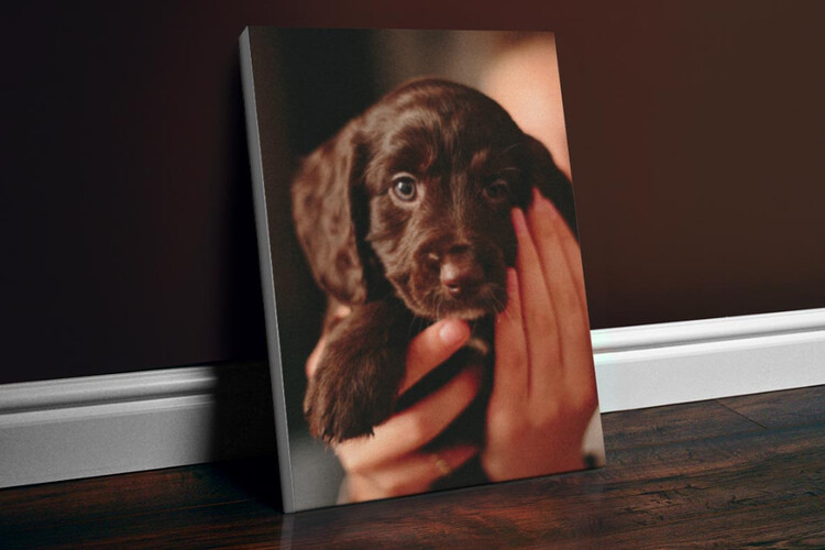 Εκτύπωση φωτογραφίας σε καμβά από το Print-Photos-Online.com