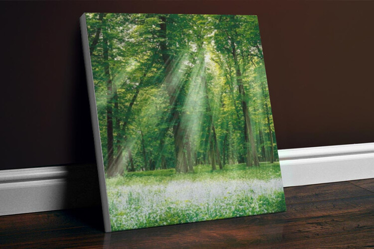 Εκτύπωση φωτογραφίας σε καμβά από το Print-Photos-Online.com