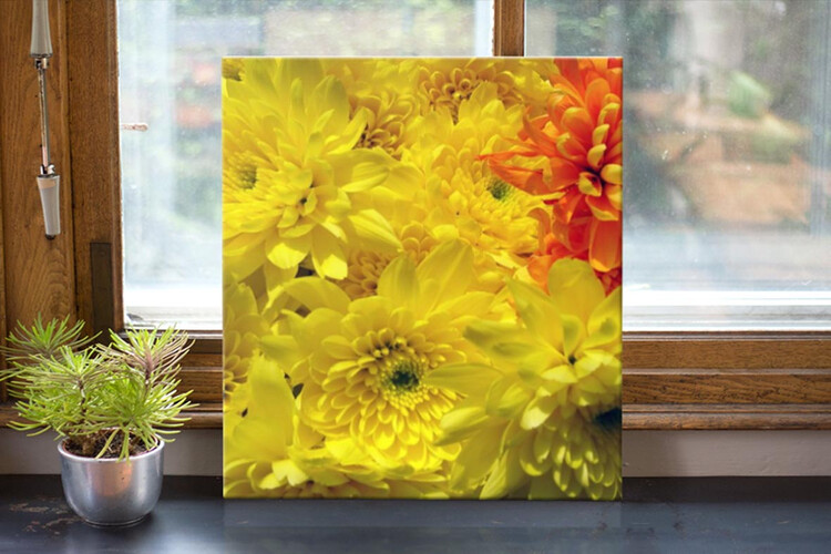 Εκτύπωση φωτογραφίας σε καμβά από το Print-Photos-Online.com