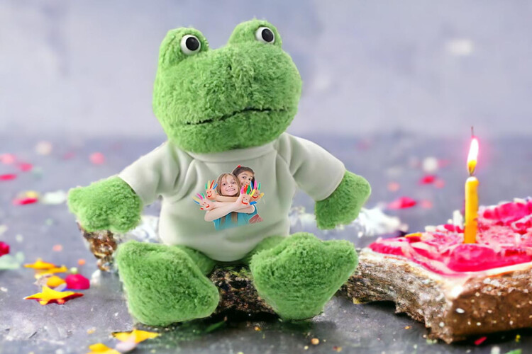 Εκτύπωση φωτογραφίας σε λούτρινα ζωάκια από το Print-Photos-Online.com