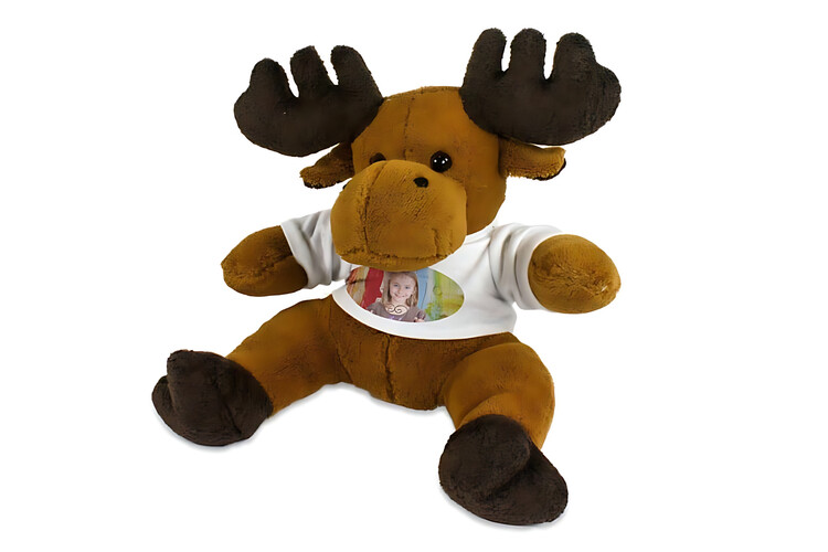 Εκτύπωση φωτογραφίας σε λούτρινα ζωάκια από το Print-Photos-Online.com