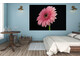 Πίνακες σε φωτογραφία ή σε καμβά με θέμα τα λουλούδια #0006 από το Print-Photos-Online.com!