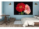Πίνακες σε φωτογραφία ή σε καμβά με θέμα τα λουλούδια #0010 από το Print-Photos-Online.com!