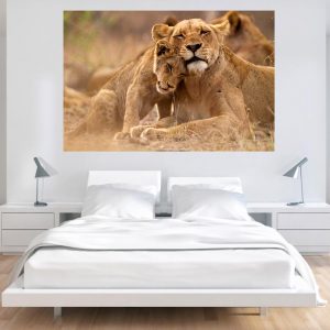 Φωτογραφία σε καμβά με ζώα - Λιοντάρι #0002 από το Print-Photos-Online.com