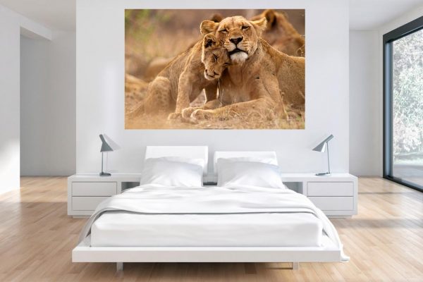 Φωτογραφία σε καμβά με ζώα - Λιοντάρι #0002 από το Print-Photos-Online.com