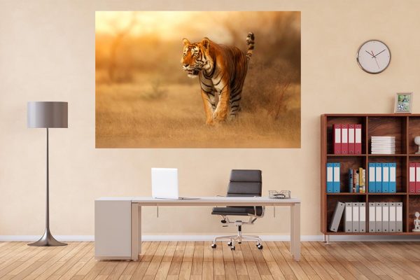 Φωτογραφία σε καμβά με ζώα - Τίγρη #0001 από το Print-Photos-Online.com