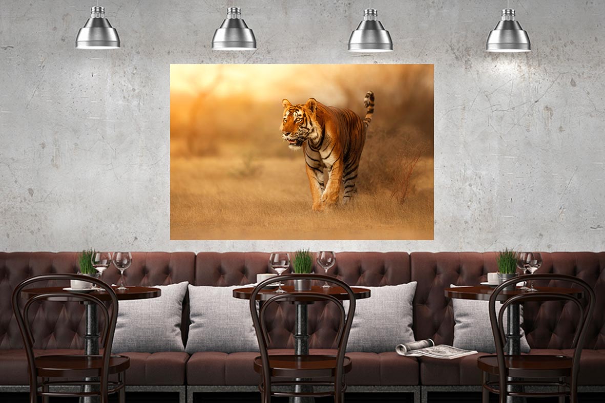 Φωτογραφία σε καμβά με ζώα - Τίγρη #0001 από το Print-Photos-Online.com