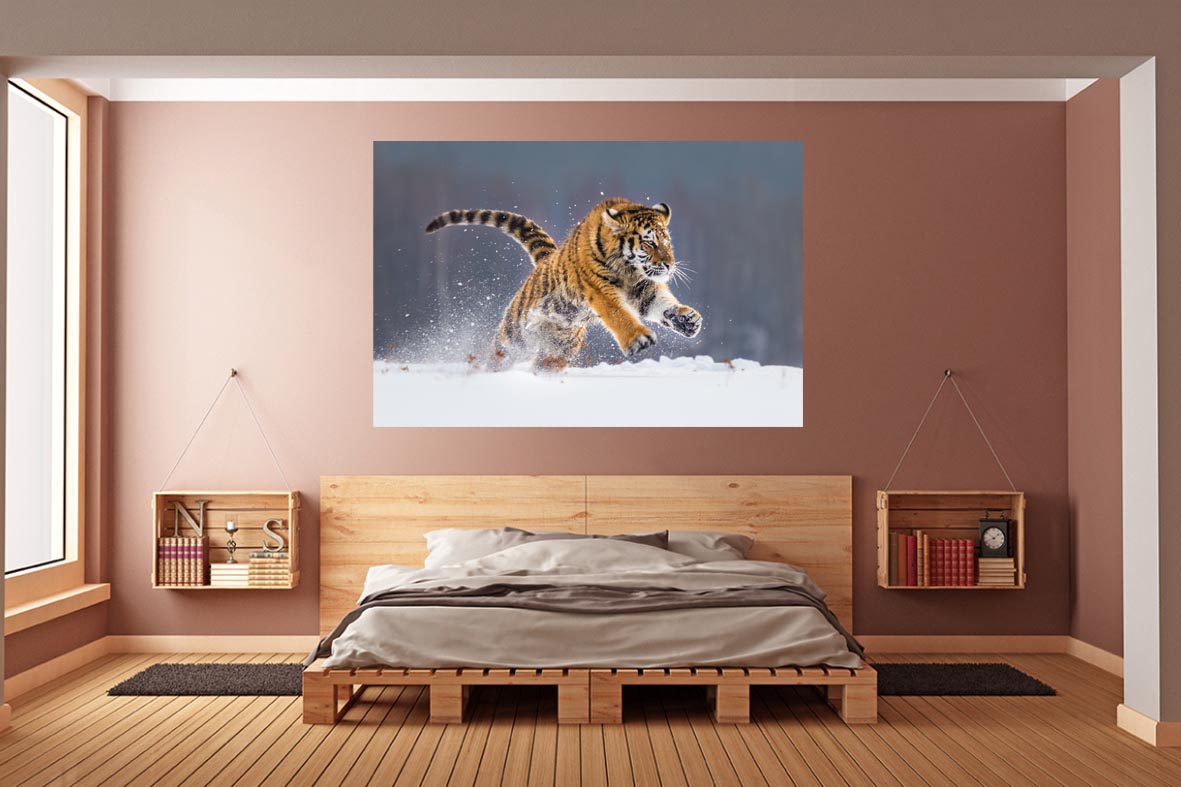 Φωτογραφία σε καμβά με ζώα - Τίγρη #0002 από το Print-Photos-Online.com