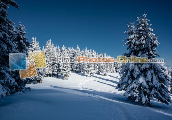 Φωτογραφία σε καμβά με θέμα το χειμώνα #0017 από το Print-Photos-Online.com
